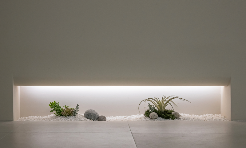 더 코나 메디스페이스 서비스 프리미엄