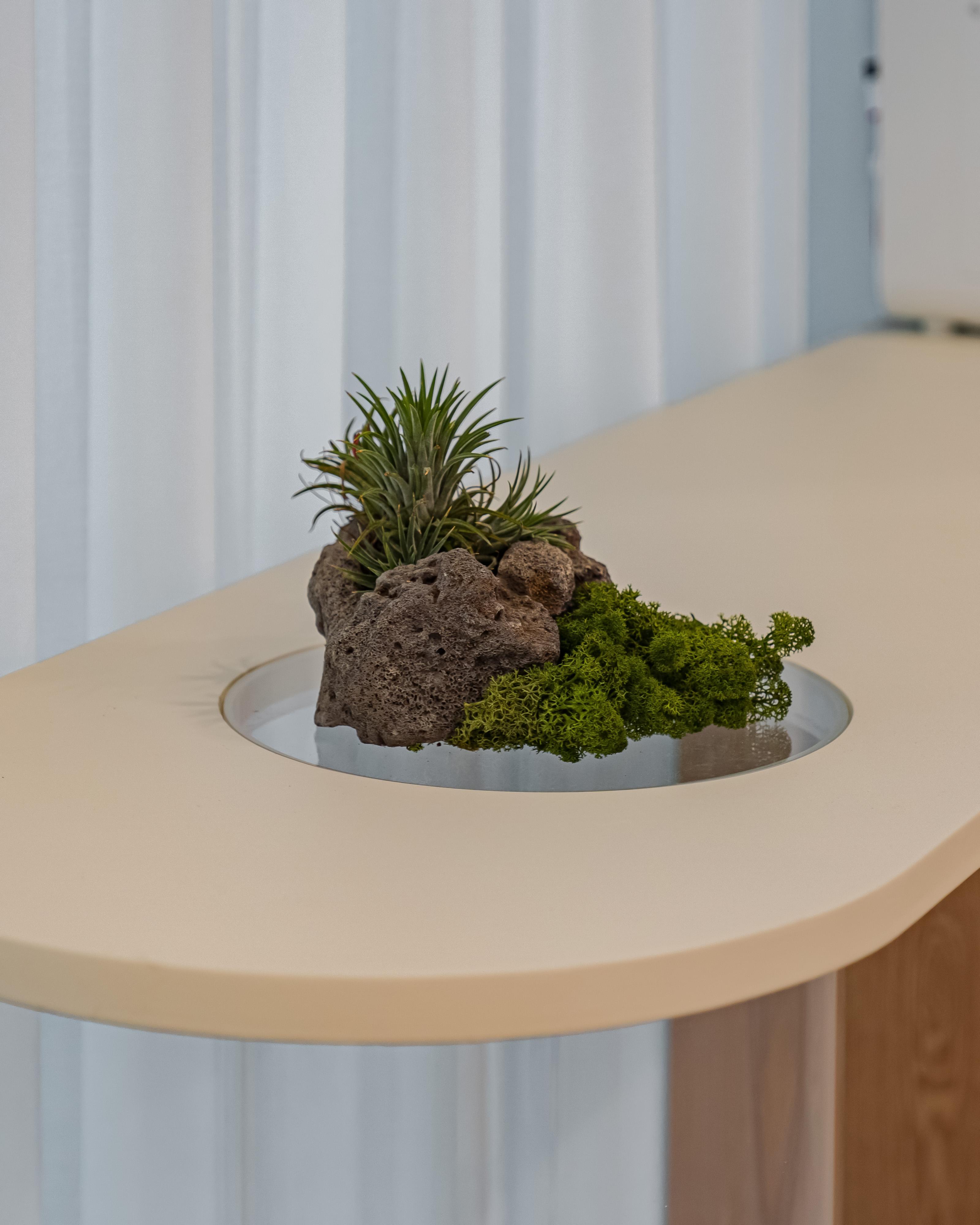 더 코나 메디스페이스 포트폴리오