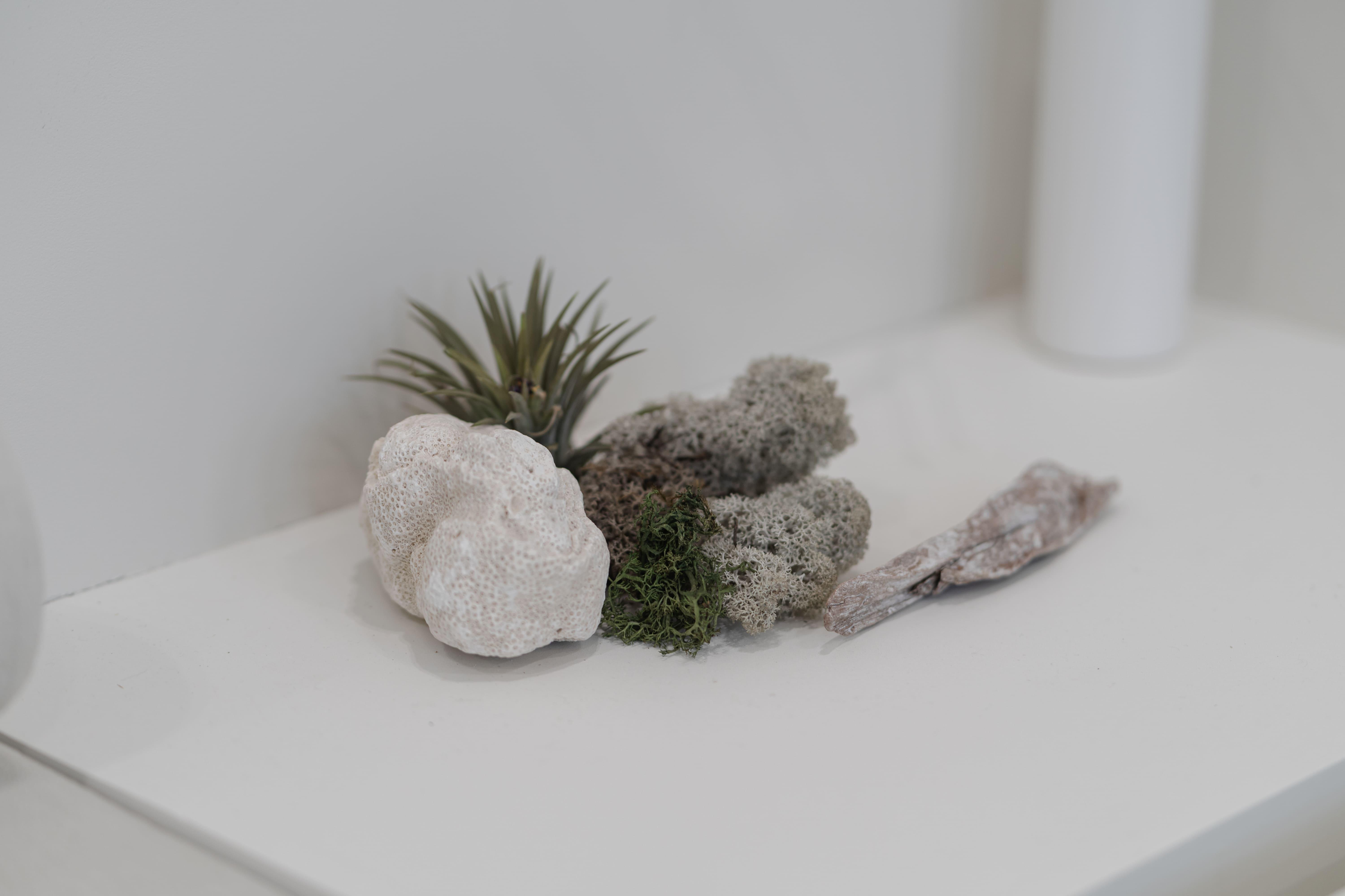 더 코나 메디스페이스 포트폴리오