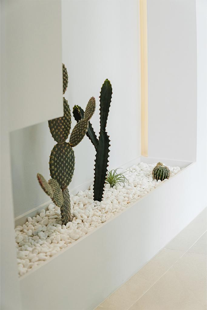 더 코나 메디스페이스 포트폴리오