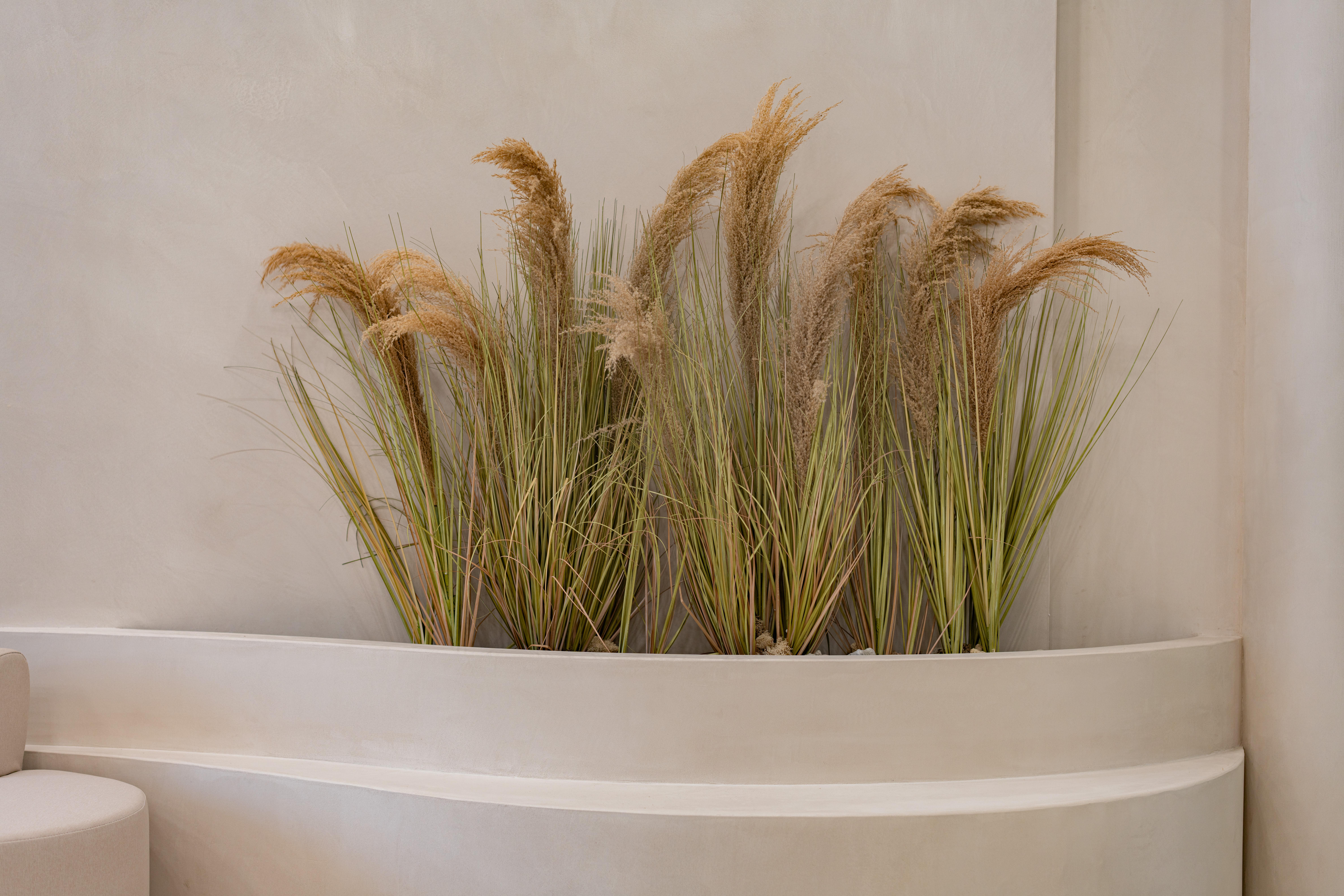 더 코나 메디스페이스 포트폴리오