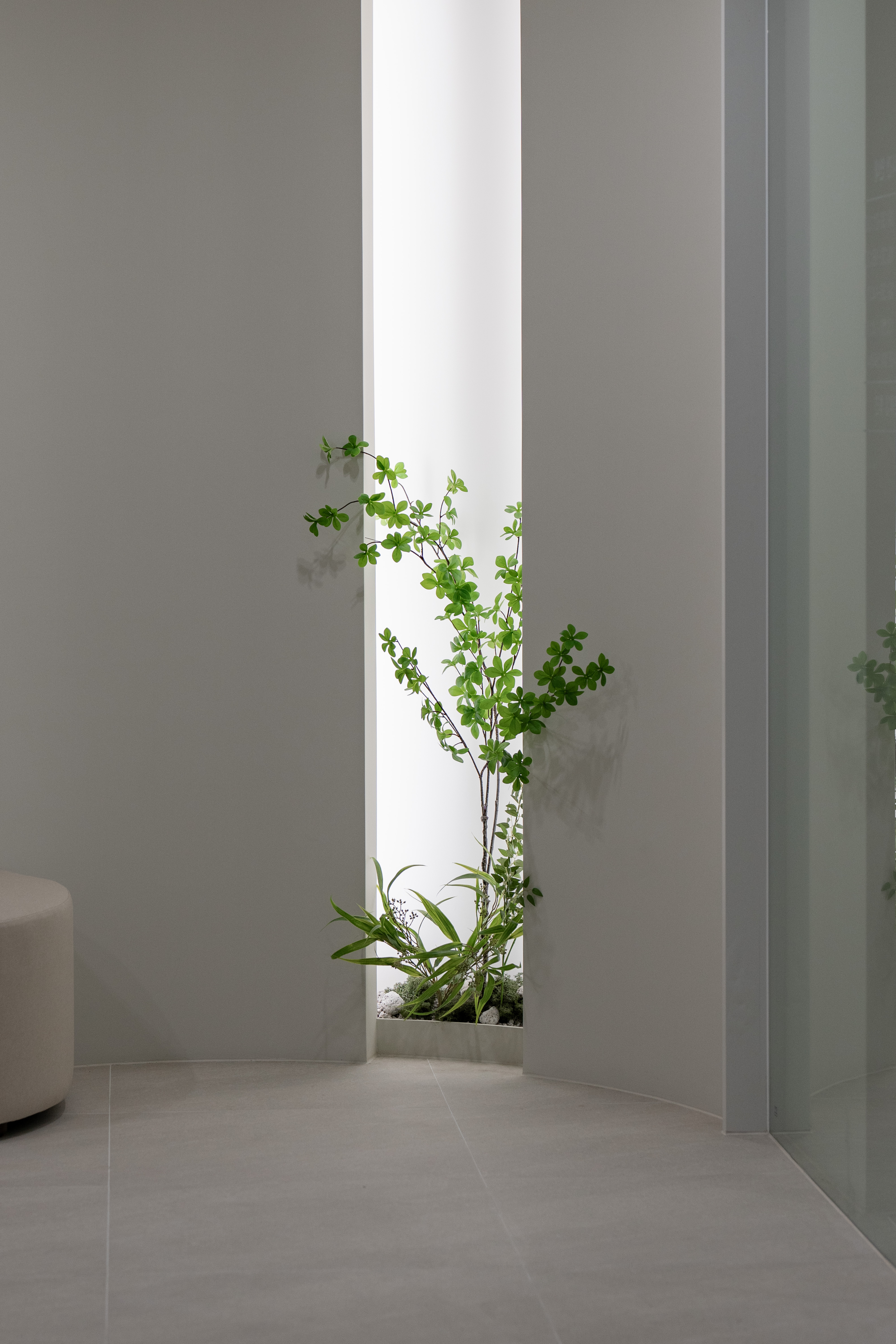 더 코나 메디스페이스 포트폴리오