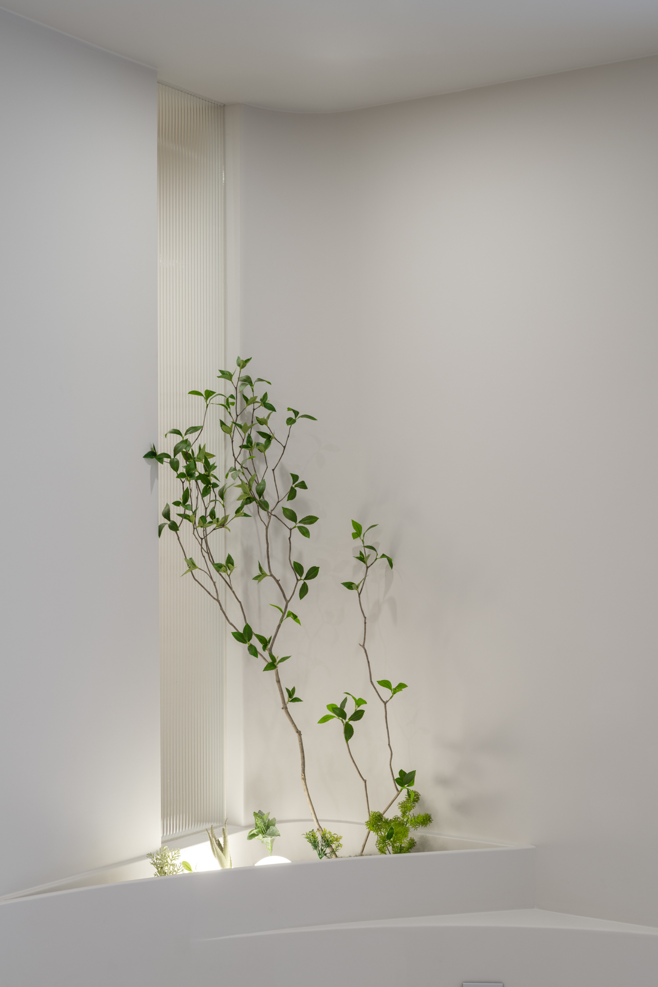 더 코나 메디스페이스 포트폴리오